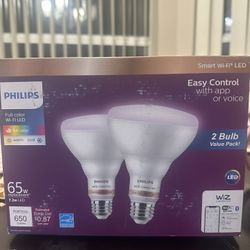 Phillips Full Color 65 W Light 
