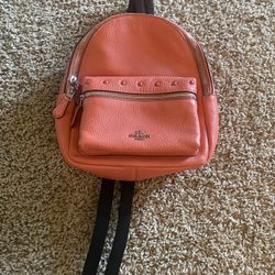 Coach Mini Backpack 