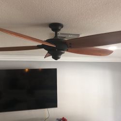 Ceiling Fan