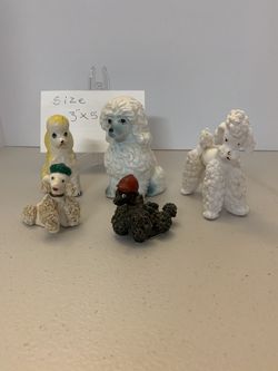 Mix max group of poodles
