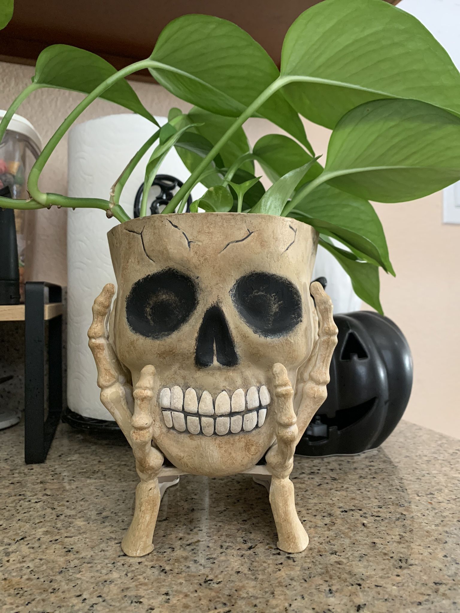 Skull Planter
