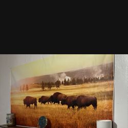 House Decor And More Mahogany Long Shelf With Lights, Yellow Stone Canvas Print, New Candle, New Fan, New French Press, New Calendar And More 