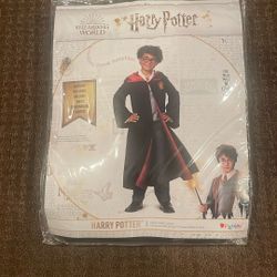 Harry Potter Halloween Costume. 