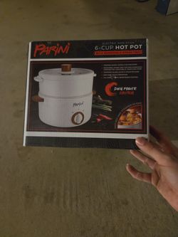 Electric nonstick 6 cup Hotpot with removable steam tray