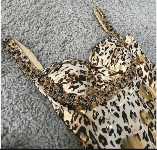 Evening Dress 