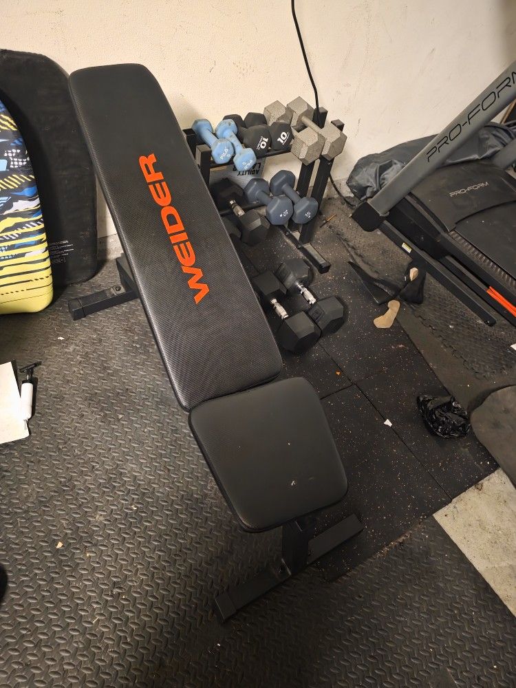 Treadmill, Weights, and Weight bench