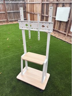 Mobile TV stands