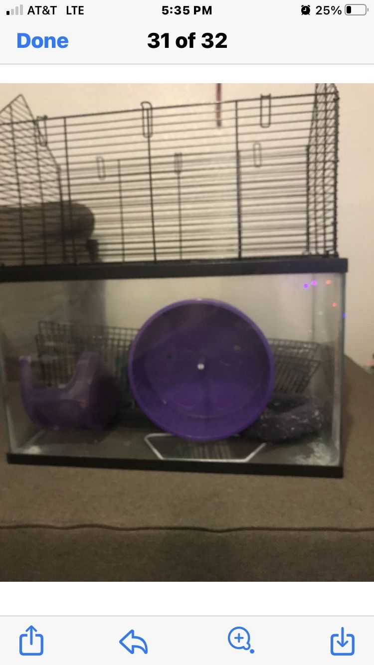 Everything U Need For A Hamster