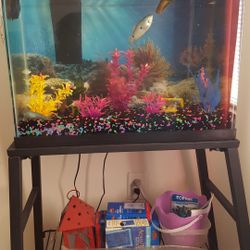 Fish Tank & Stand Only