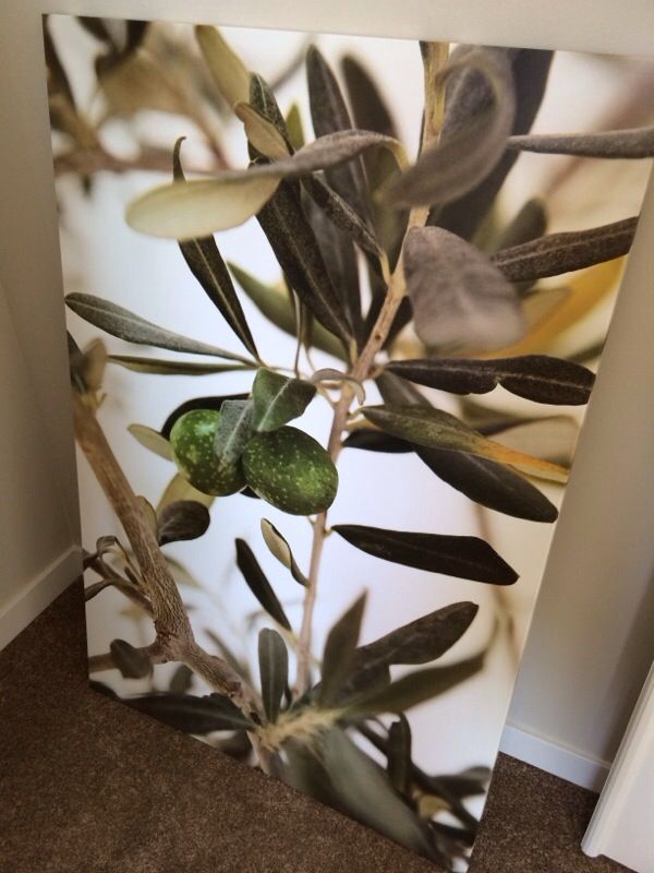 "Olive" canvas from IKEA