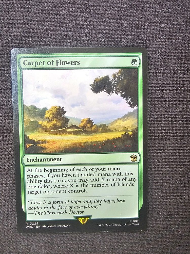 Carpet Of Flowers [Doctor Who] Normal