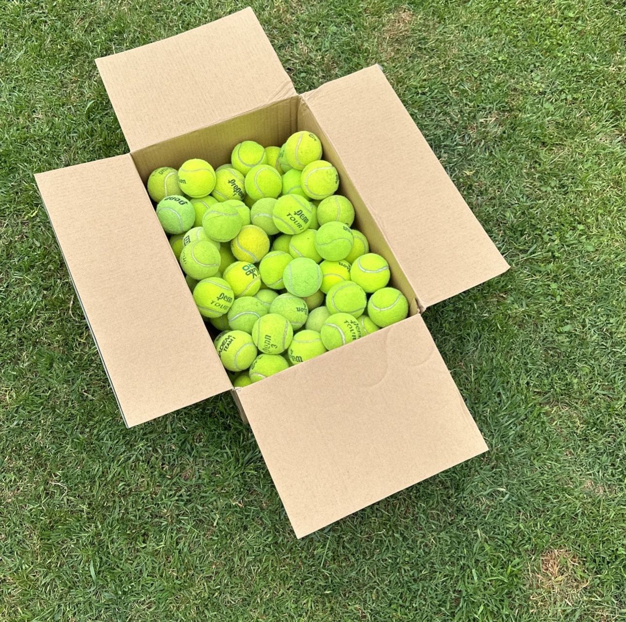 100 Used Tennis Balls