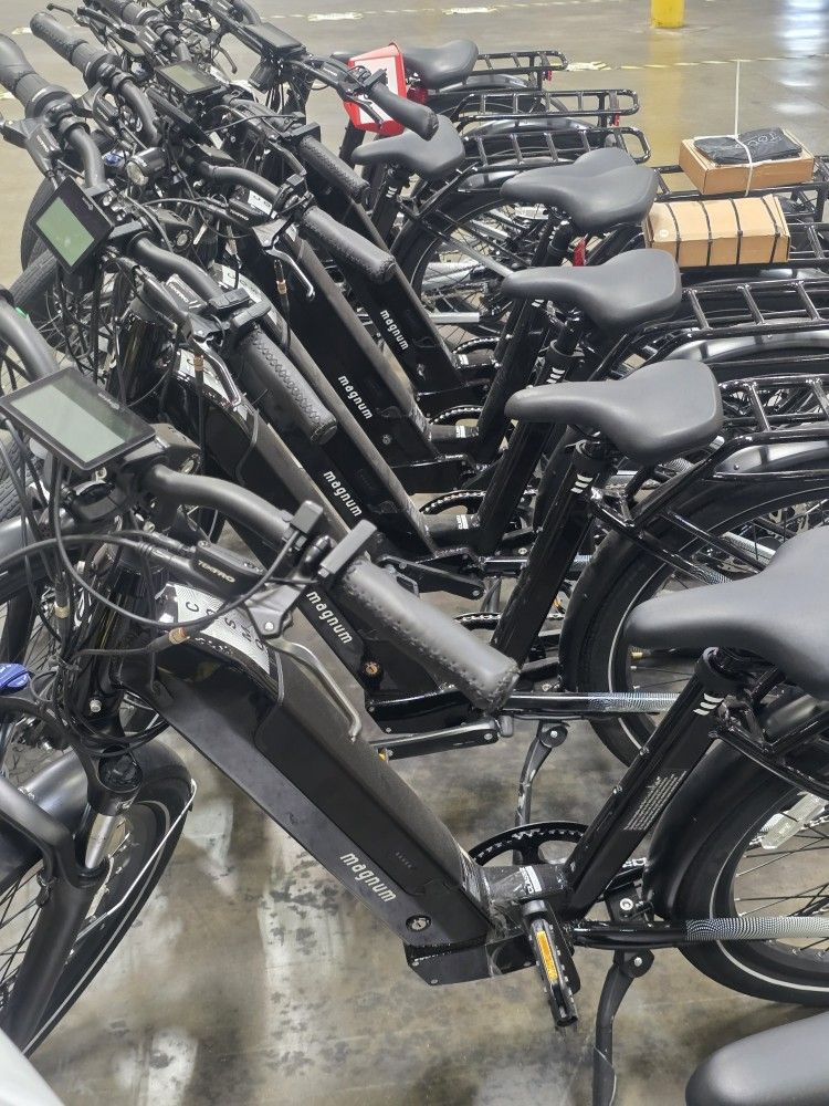 Electric Bike