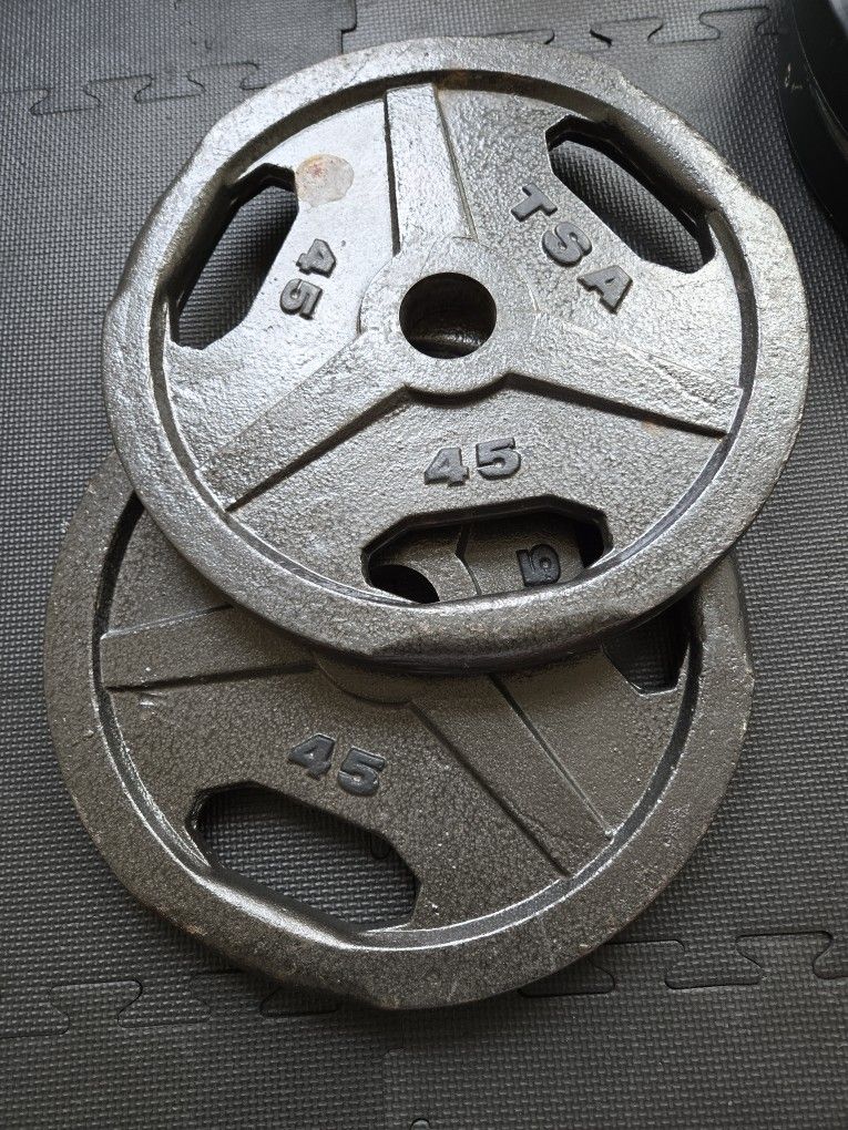 TSA Cast Iron 45 lb Plates (Pair)