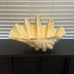 Large clam shell decoration