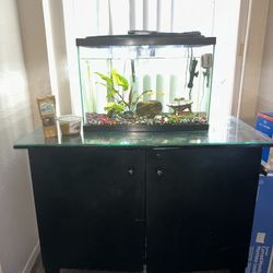 Fish Tank 