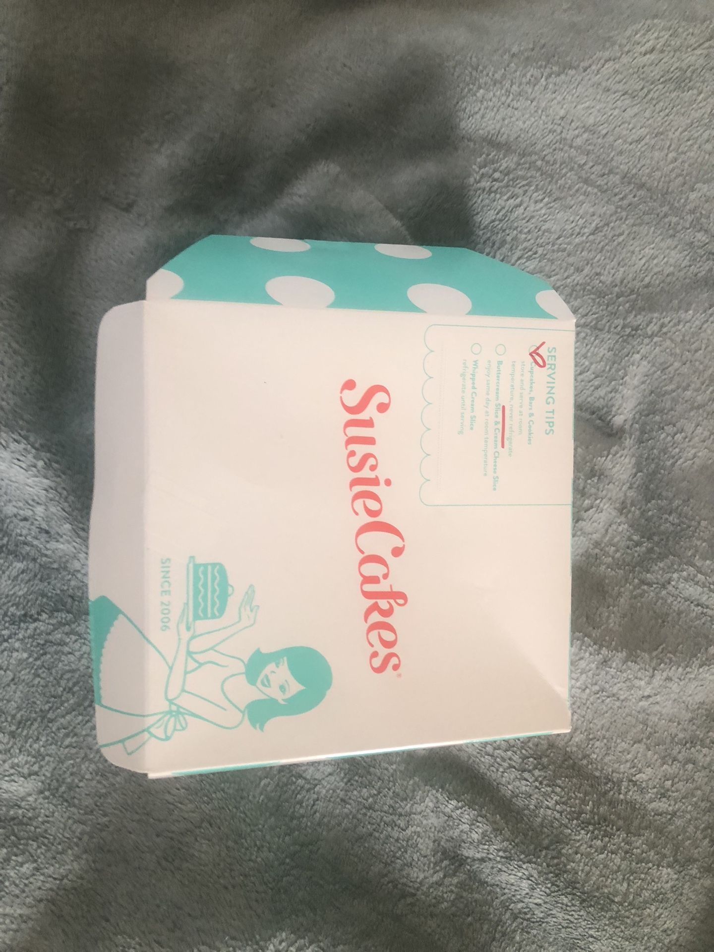 Lot Of 6 Small Cake Or Cupcake Box