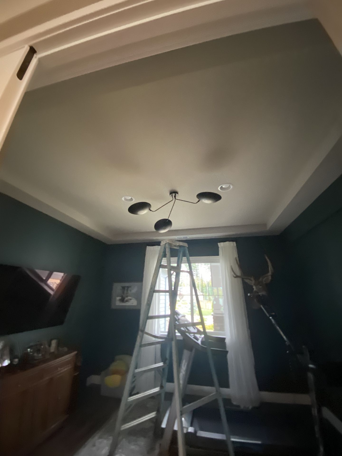 Unique Light Fixture 