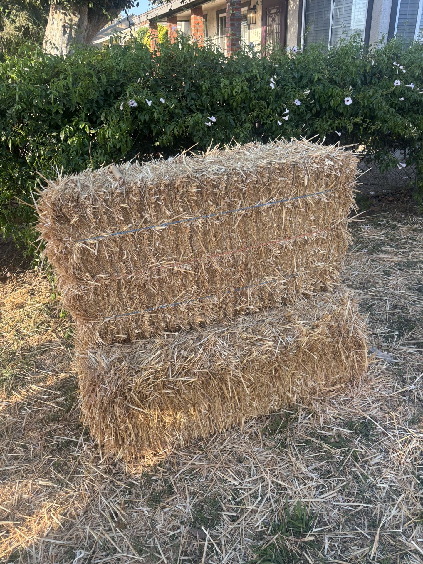 Hay Bells