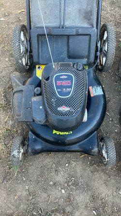 Briggs&Stratton 550