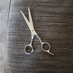 Hair Cutting Shears 