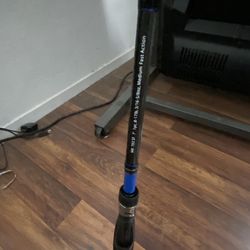 Fishing Spinning Rod