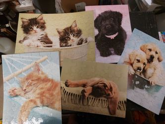 Lovable kittens and puppies, Rachaelhale