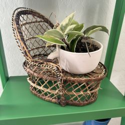 Mini Peacock Chair Wicker Plant Stand