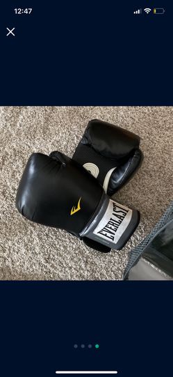 Everlast Pro Style Training Gloves 16 Oz