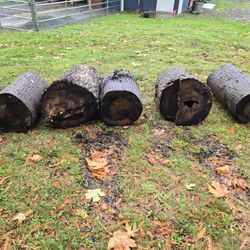 Free Cottonwood Rounds