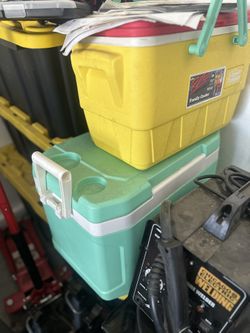 Coolers Igloo