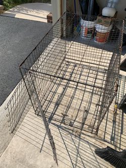 For extra large breed dog