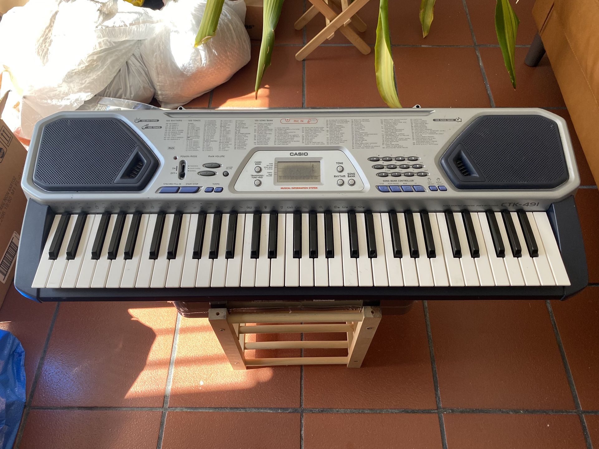 Casio Keyboard CTK-491 (Not Turning On)