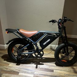 Electric Bike