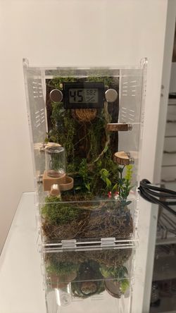 Acrylic Reptile Enclosure with Digital Hygrometer