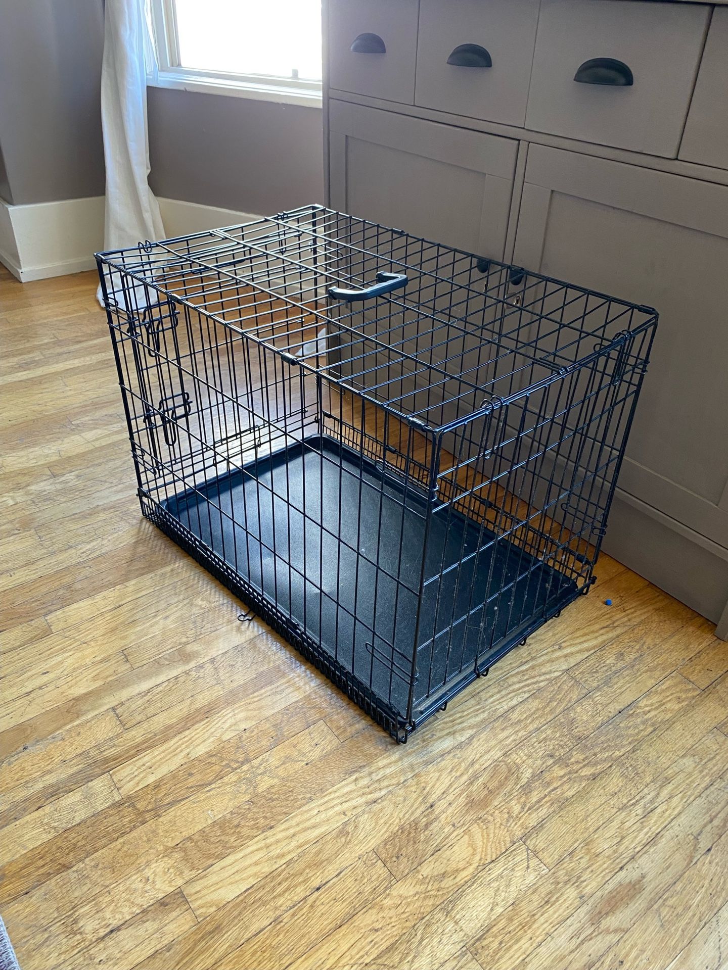 Black Dog Crate