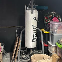 Everlast Boxing Stand and Bag