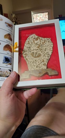fossil book study guide