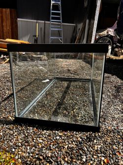 Fish tank