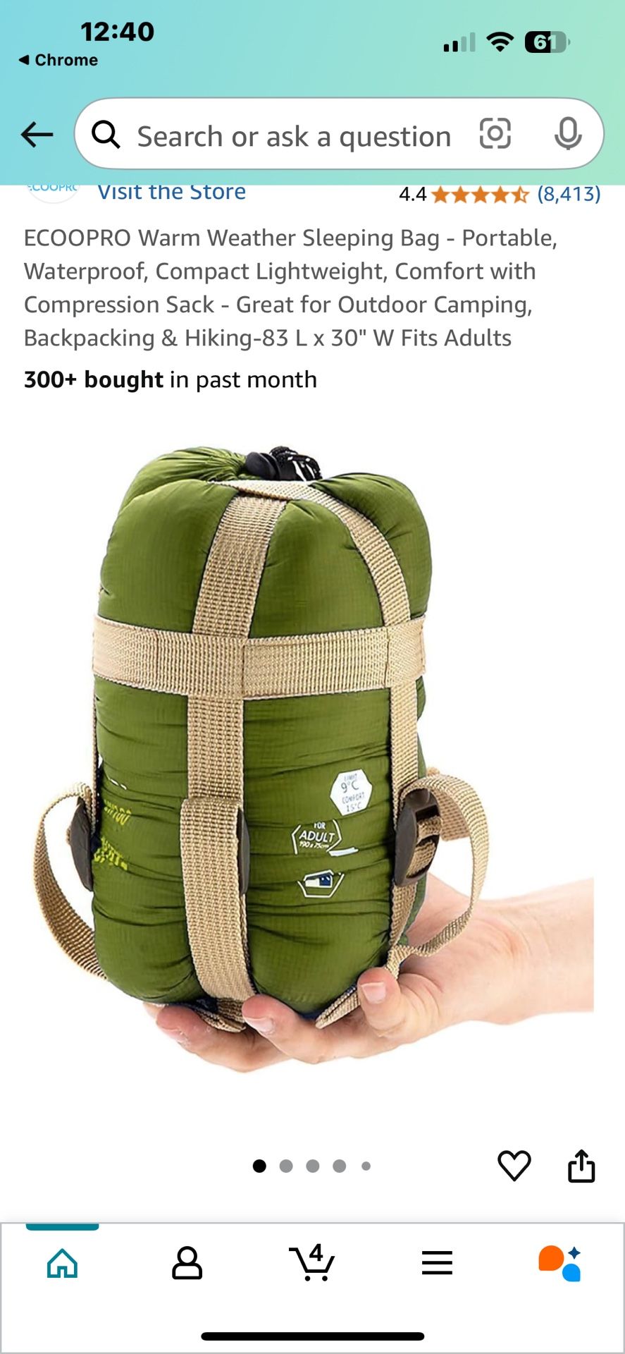 Sleeping Bag