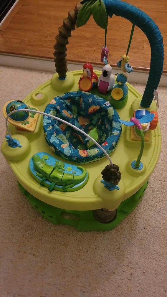 Evenflow Exersaucer