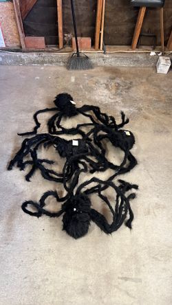 Spiders