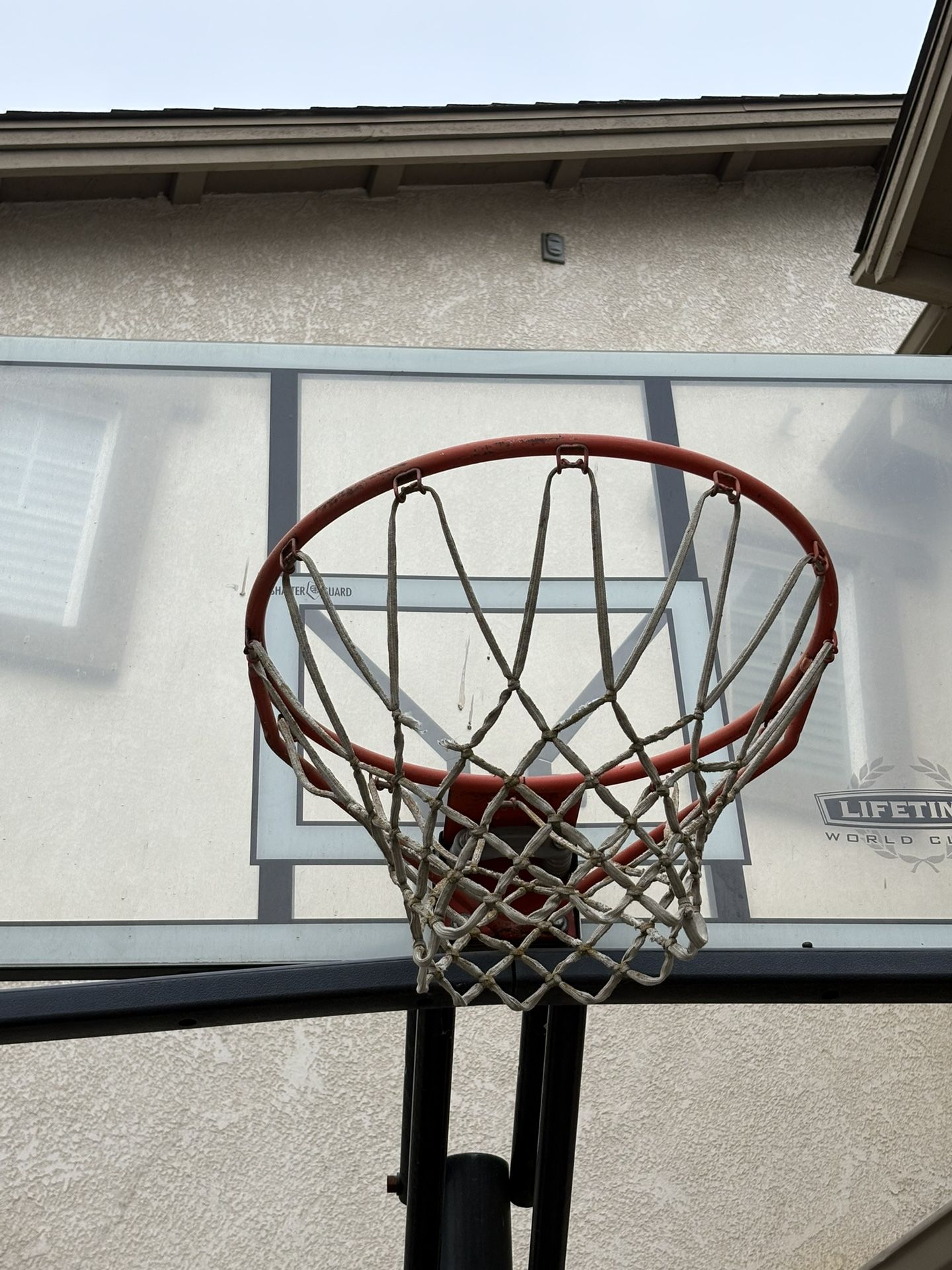 Lifetime Basketball Hoop
