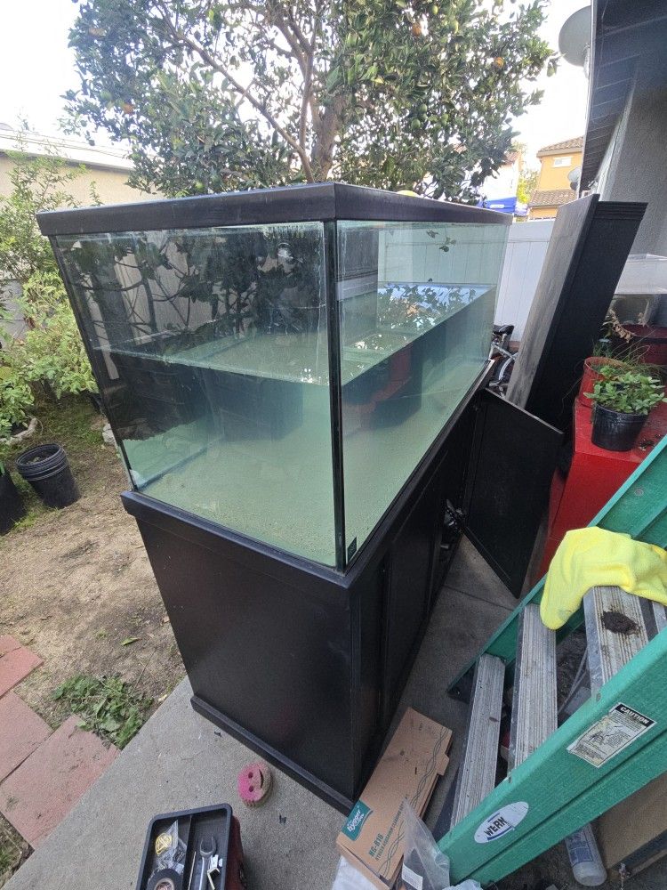 150 Gallon Fish Tank & Base