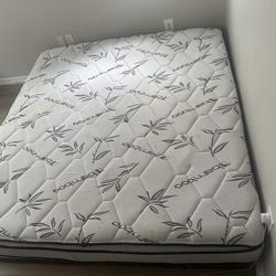 king size mattress with box springs 