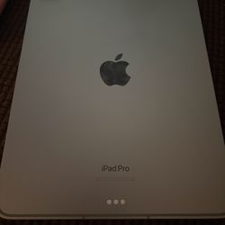 iPad Pro (11 Inch) 4th Gen/ Apple Pencil 2nd Gen 