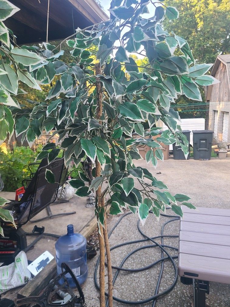 Fake Trees