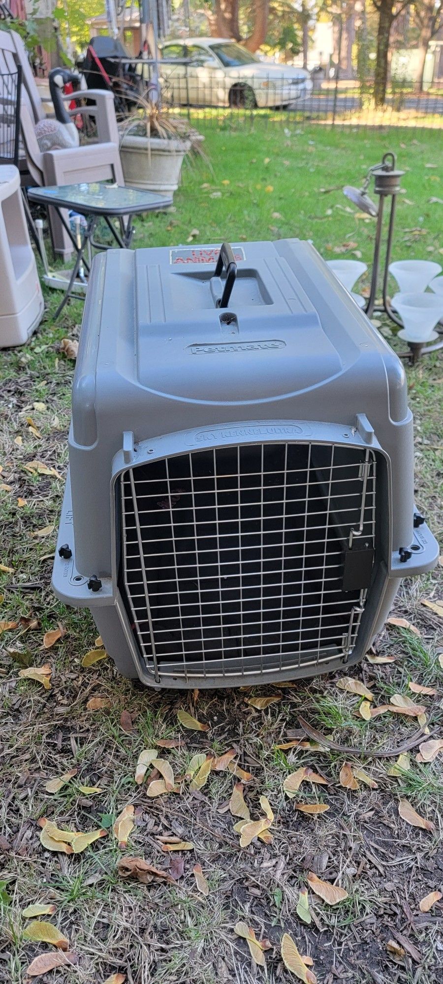 Medium Petmate Sky Kennel Dog Crate