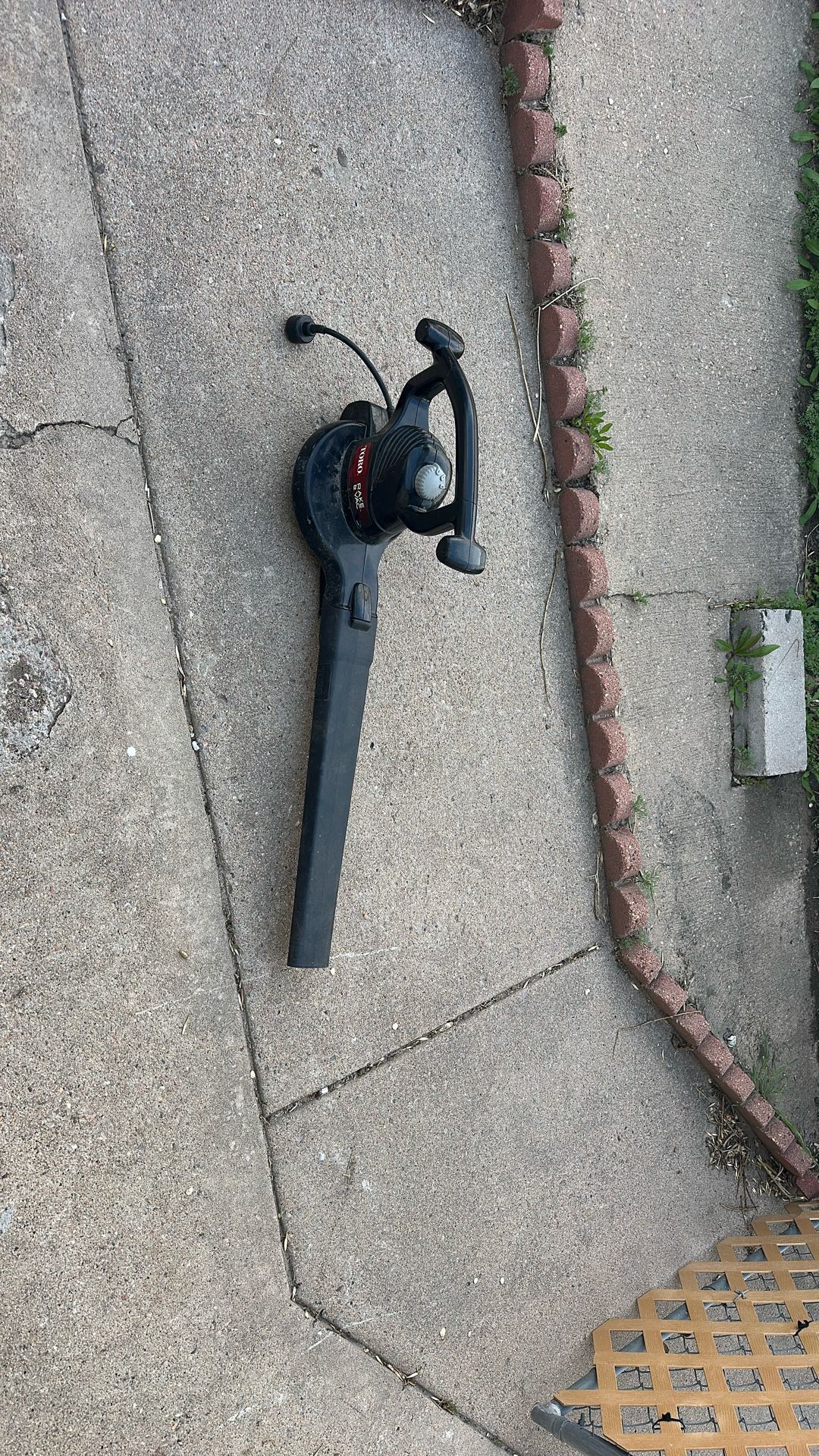 Leaf blower