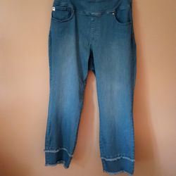 QVC Kim Gravel Triple luxe Size 16 Denim Wash Straight Leg Jean With Fringe Accent